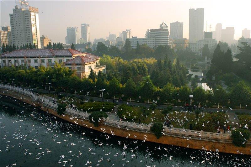 母親河盤龍江 http://m.zyswsm.com/ 母親河盤龍江 http://m.zyswsm.com/