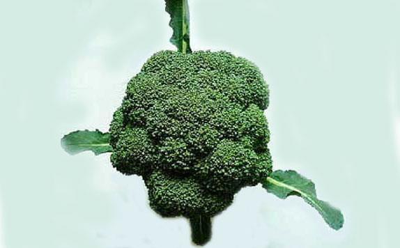 怎樣吃蔬菜才有益于健康？