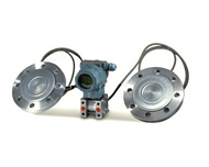 雙法蘭液位計 雙法蘭液位計