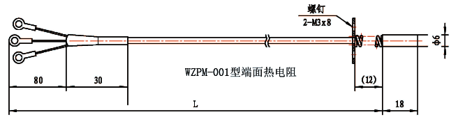 WZPM-001端面鉑電阻結(jié)構(gòu)示意圖 WZPM-001端面鉑電阻結(jié)構(gòu)示意圖
