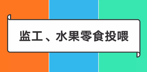 阿里/騰訊/字節跳動爸媽做什么 阿里/騰訊/字節跳動爸媽做什么