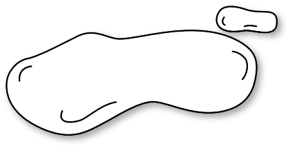 粘質(zhì)物 粘質(zhì)物