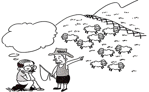 羊走得到的最高的地方，最高點就在那里