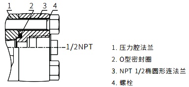 1/2NPT不銹鋼橢圓形法蘭 1/2NPT不銹鋼橢圓形法蘭