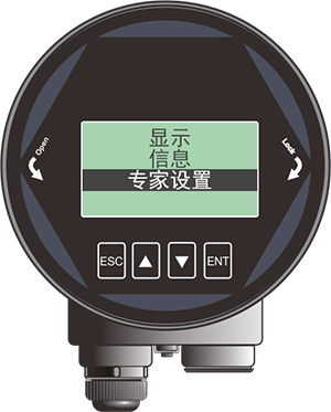 昌暉80G雷達(dá)物位計(jì)專家設(shè)置界面 昌暉80G雷達(dá)物位計(jì)專家設(shè)置界面