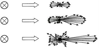 水溶液中顆粒對光的散射情況 水溶液中顆粒對光的散射情況