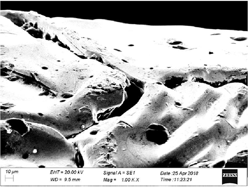 Φ1.0的R型鎧裝熱電偶絲竹節(jié)區(qū)SEM形貌 Φ1.0的R型鎧裝熱電偶絲竹節(jié)區(qū)SEM形貌