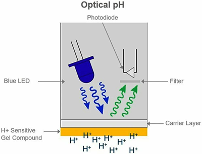 光學pH電極工作原理 光學pH電極工作原理