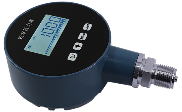 數(shù)字壓力表 數(shù)字壓力表