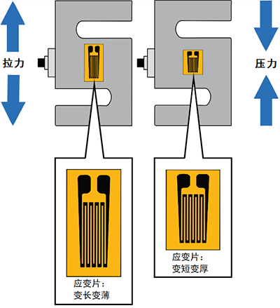 稱重傳感器內部結構 稱重傳感器內部結構