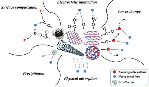 重金屬在碳基官能團吸附劑上的吸附機制示意圖 重金屬在碳基官能團吸附劑上的吸附機制示意圖